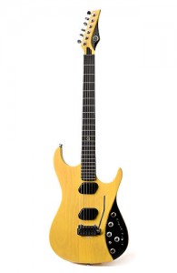 The Moog Guitar E1