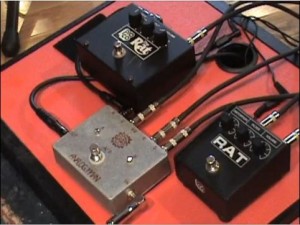 Rat vs Rat Rat vs Rat